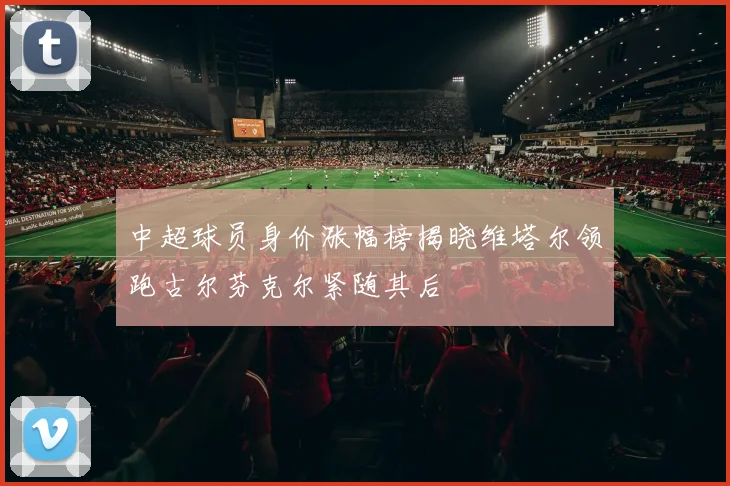 中超球员身价涨幅榜揭晓维塔尔领跑古尔芬克尔紧随其后