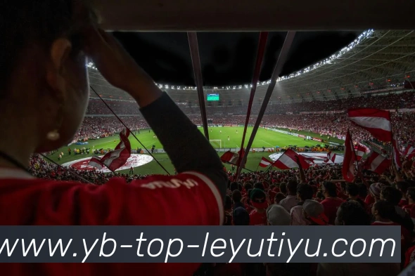 乐鱼体育发展历程