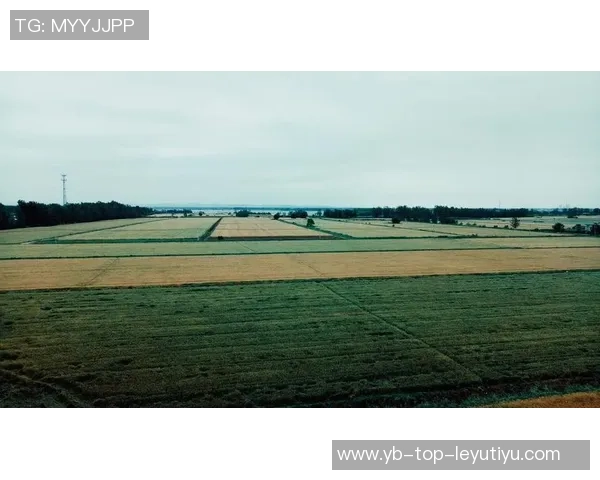 布克谈迈阿密天气变化迅速表示自己并未过于关注阴雨情况